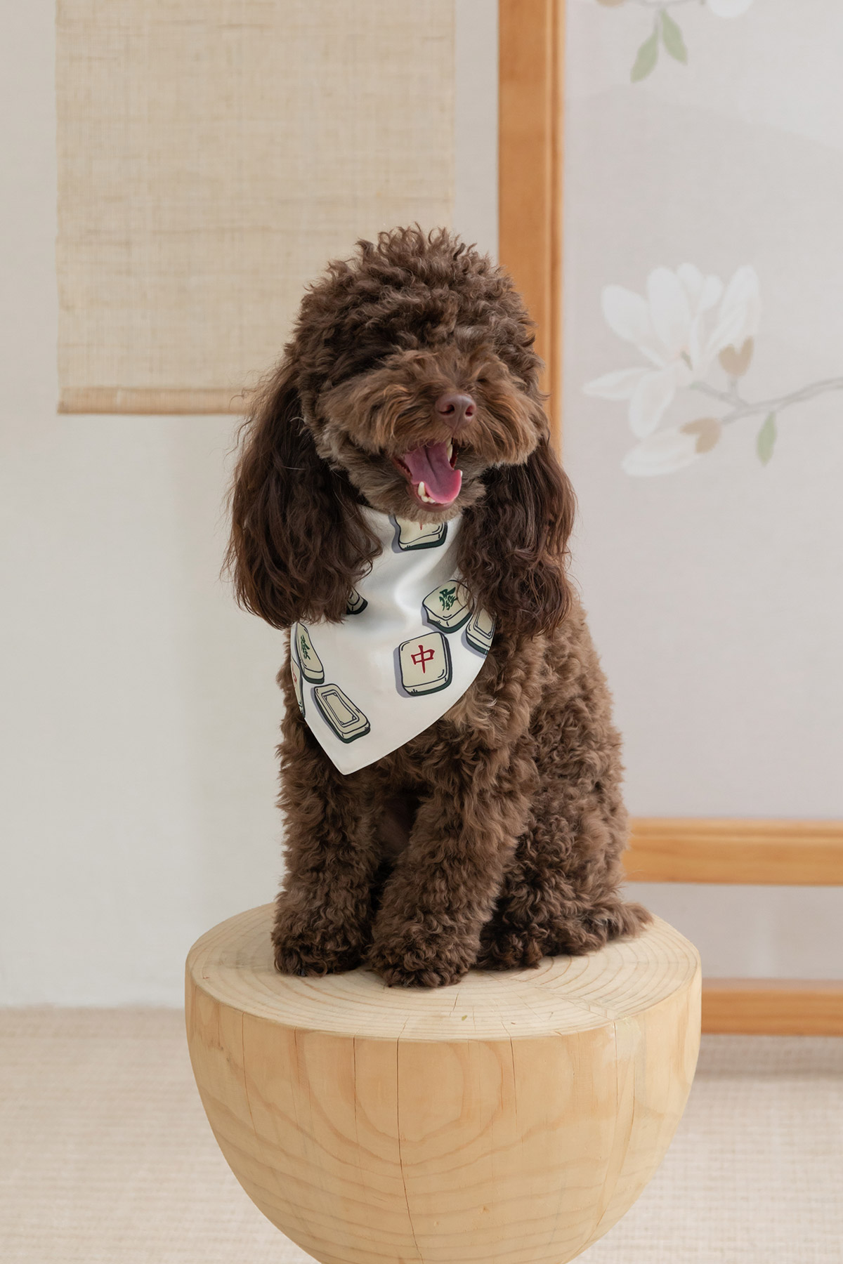*SALE* PAWPARADE BANDANA - MAHJONG [BY MODPARADE]